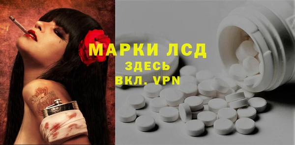 прущие грибы Инта