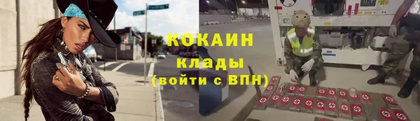 прущие грибы Инта
