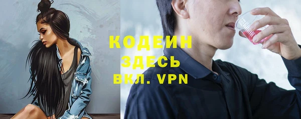прущие грибы Инта