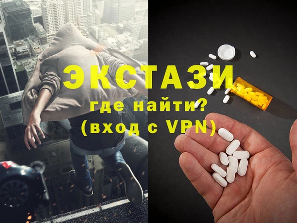 прущие грибы Инта