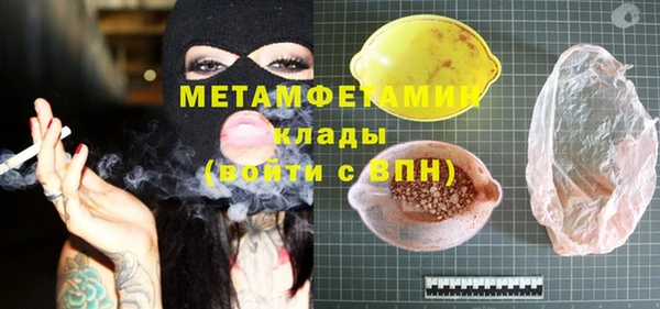 прущие грибы Инта