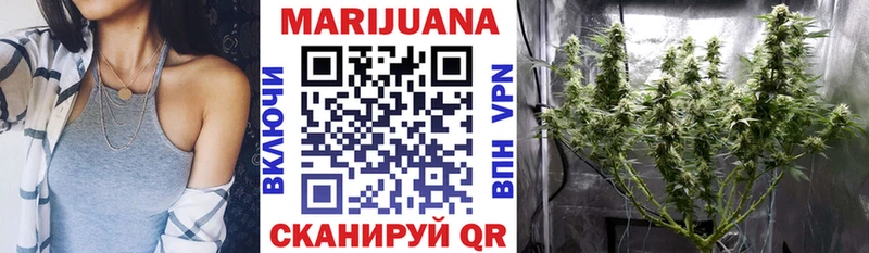 Каннабис ГИДРОПОН  Купить закладки  Унеча 